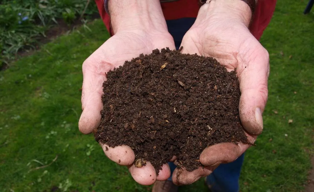 natural soil recharge after monsoon