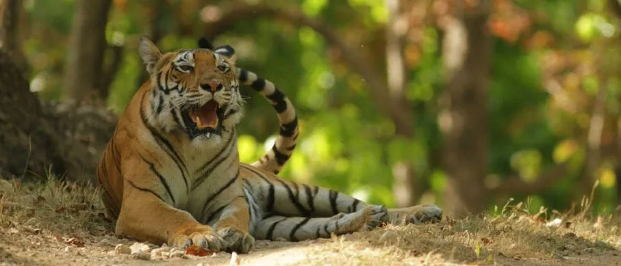 periyar-tiger-reserve
