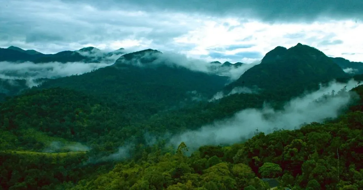 Silent Valley's unique ecosystem supports endangered species such as the lion-tailed macaque