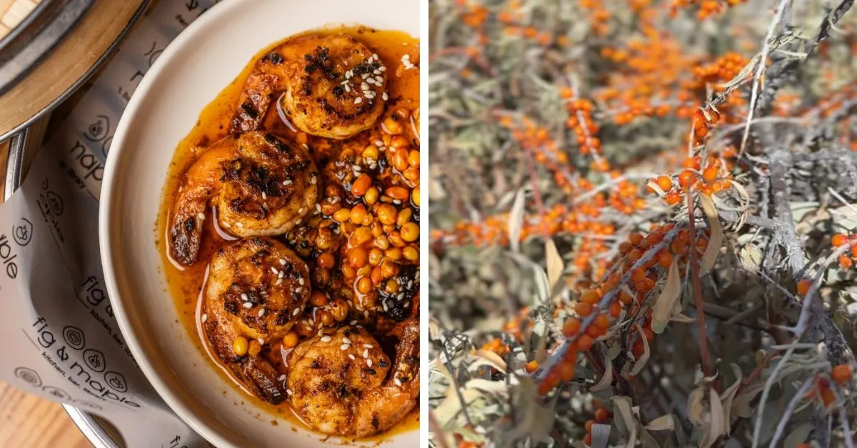 The prawns with sea buckthorn ponzu (L) and sea buckthorn foraged from Nubra Valley (R)