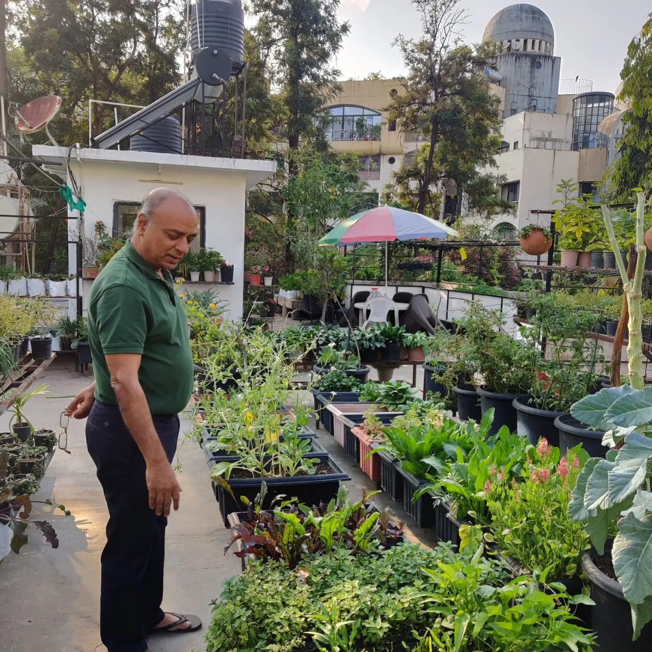 no-soil terrace garden Pune