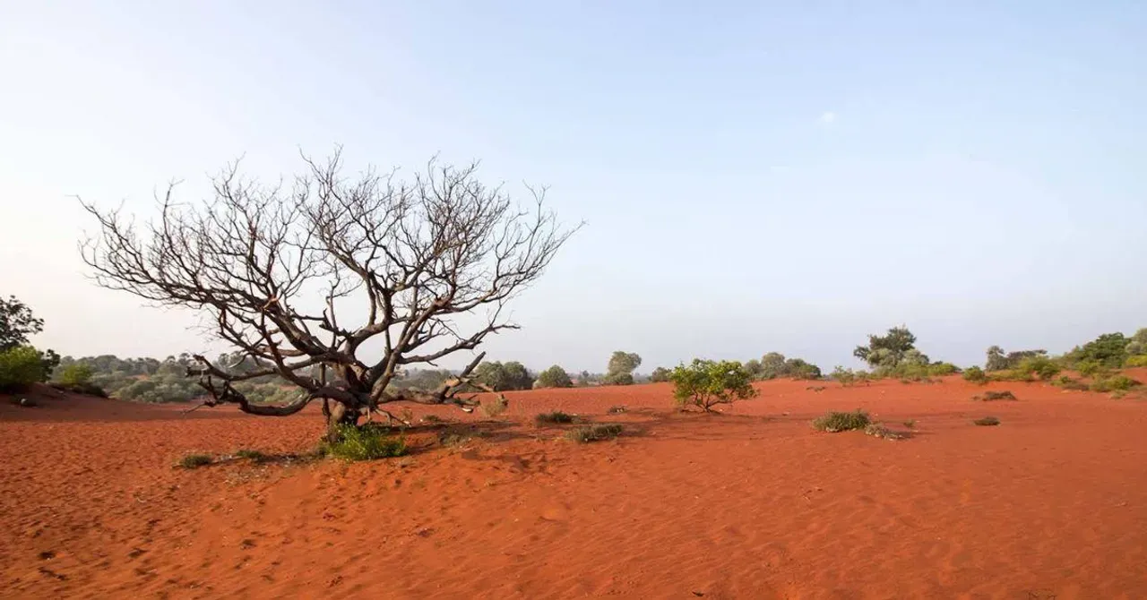 Theri Kaadu is a newly formed desert through its sand movements.
