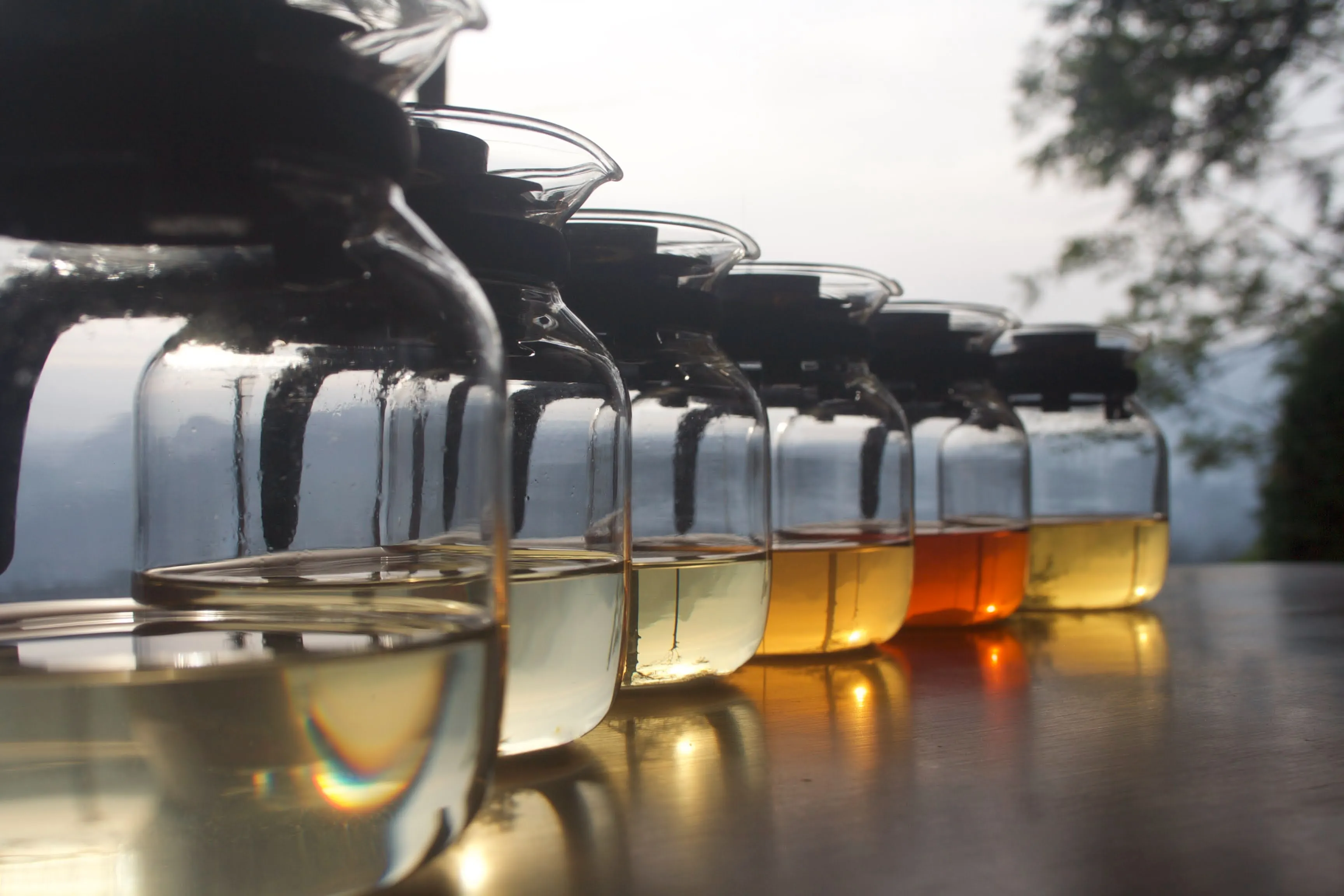 Tea Tasting