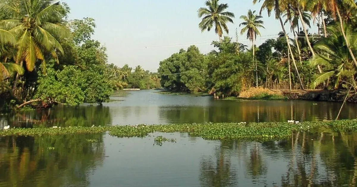 Kerala budget family trip