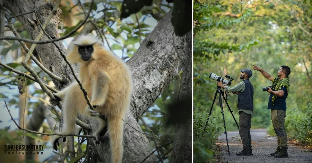 wildlife conservation (1)