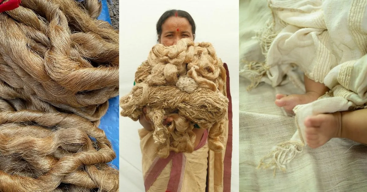 Muga and eri silk