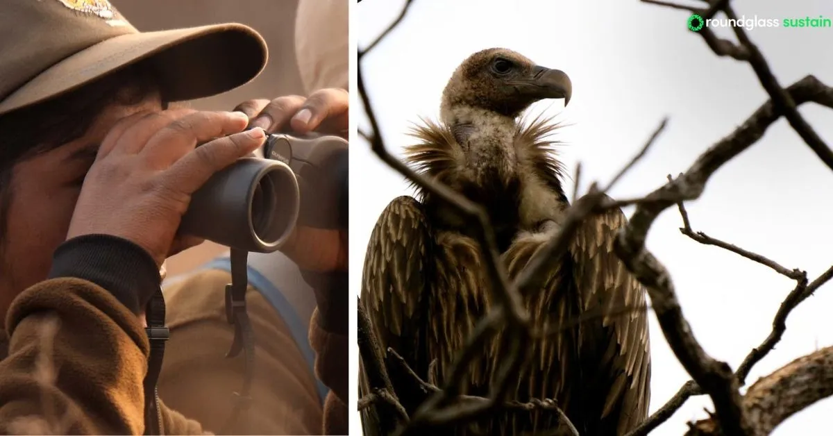 wildlife conservation (1)