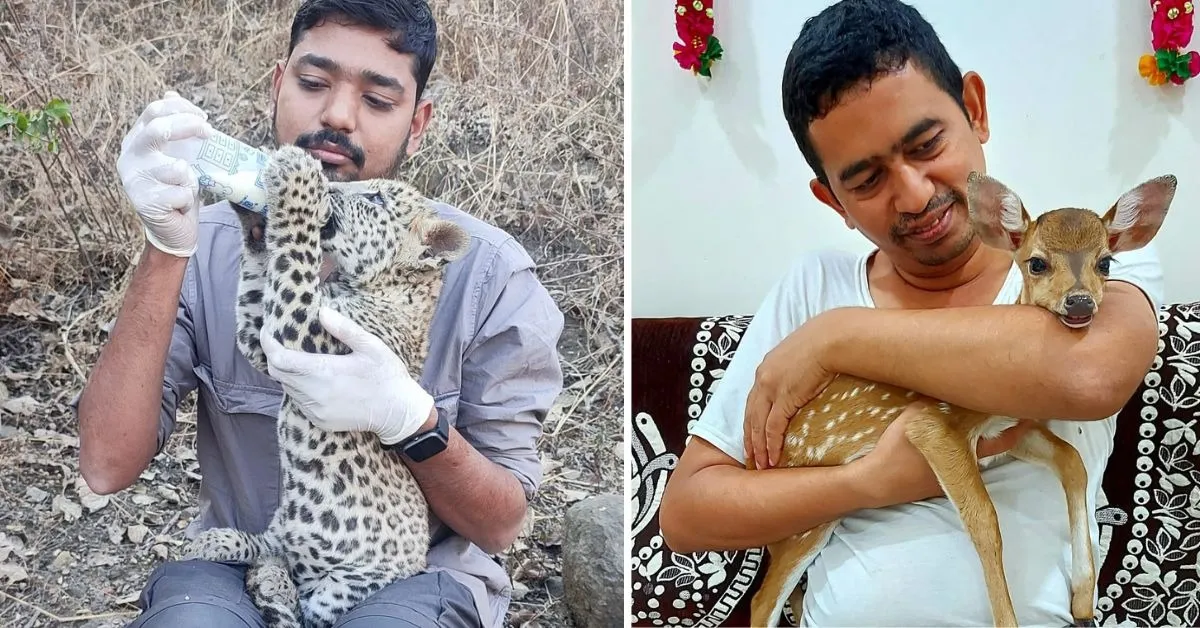 wildlife conservation (2)