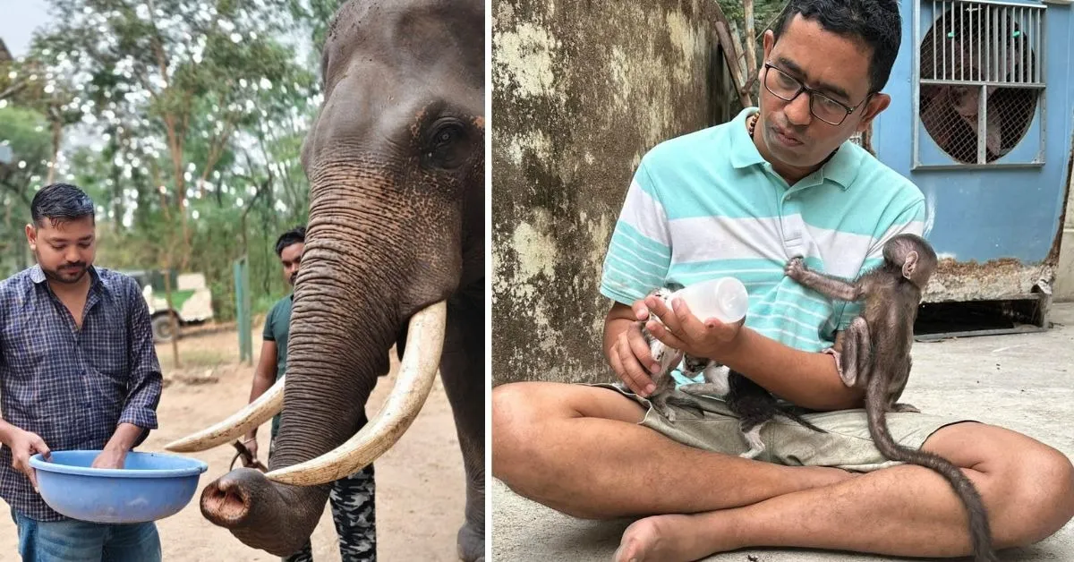 wildlife conservation (6)