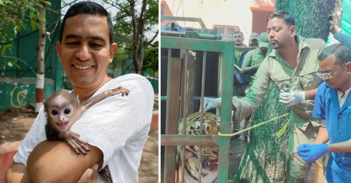 wildlife conservation (7)