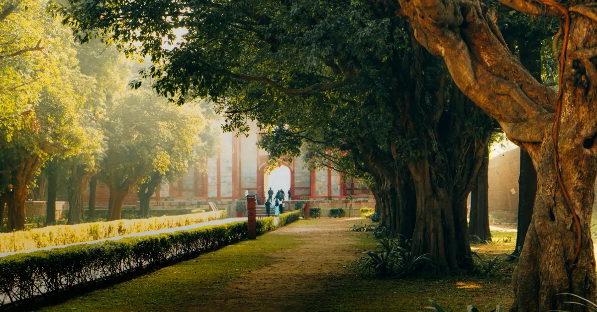 children’s autumn nature projects