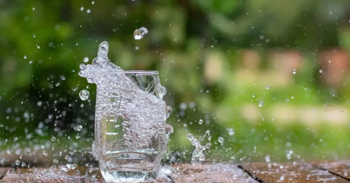 Nature-inspired family traditions