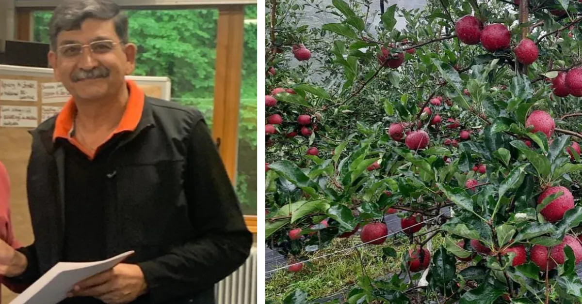 organic apple farming