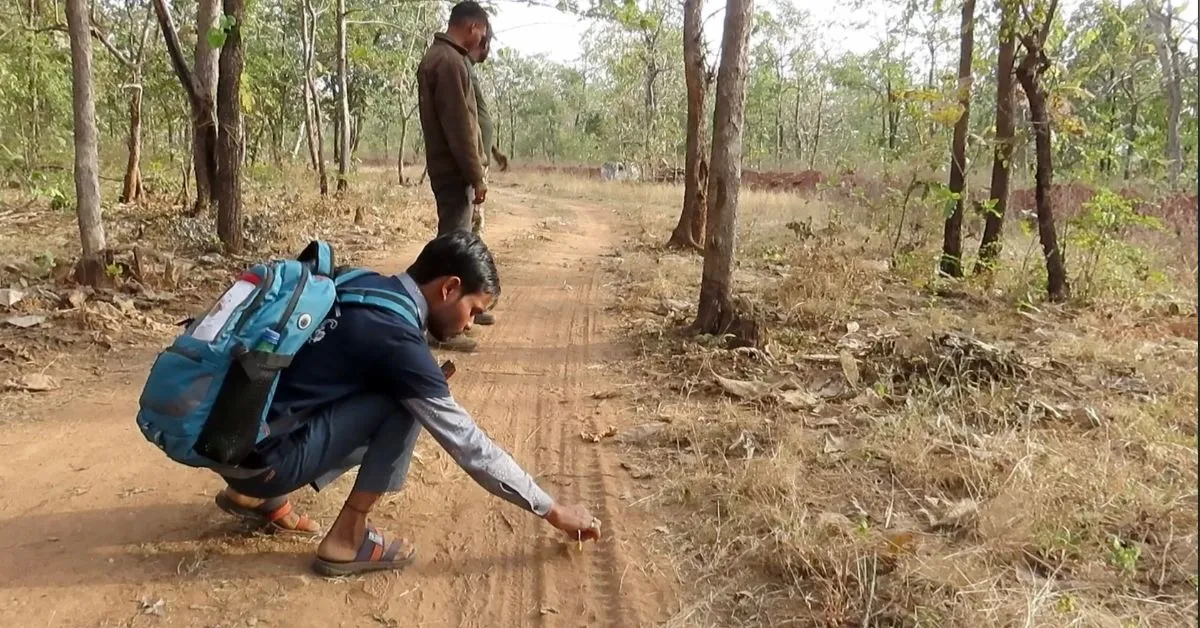 The urban volunteers assess tiger tracks and apprise the Forest Department of the same