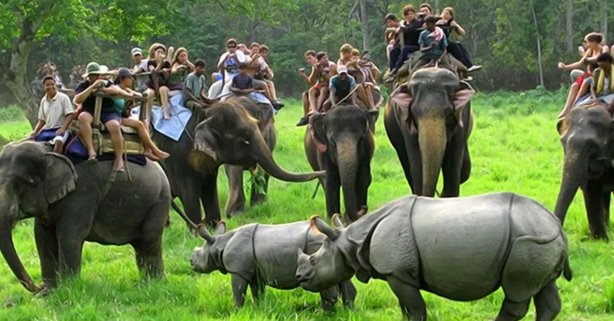 Kaziranga National Park, Assam