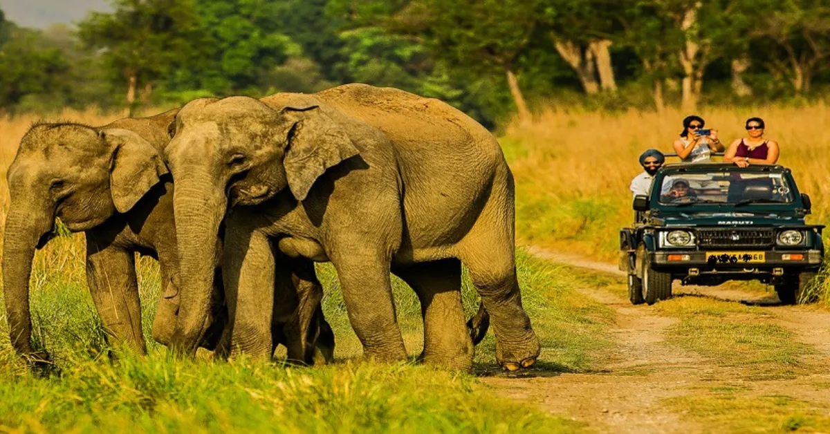 Kanha National Park Madhya Praddesh