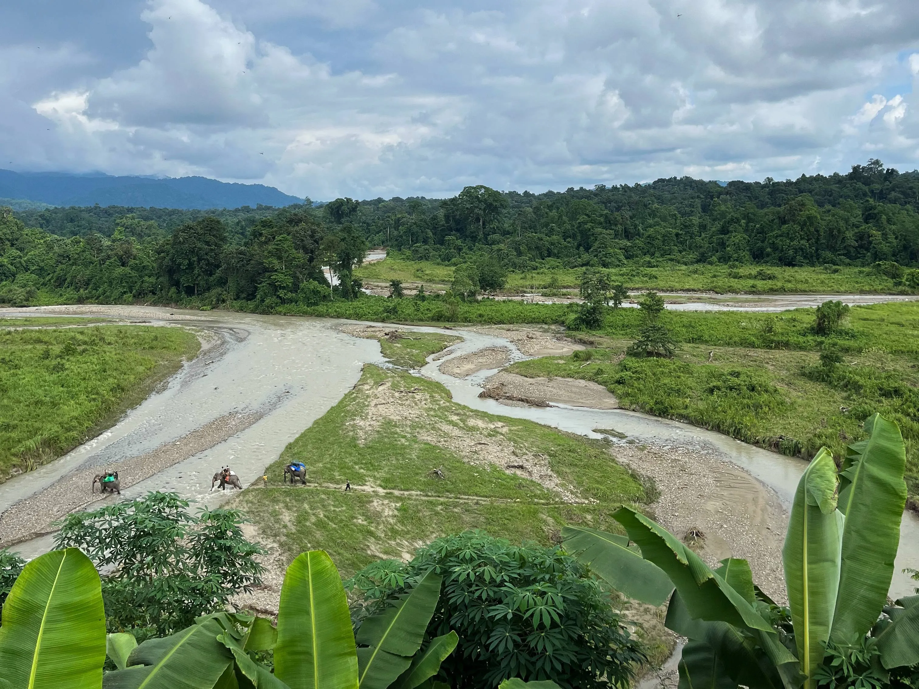 Elephants along the Upper Dekorai riverbed _ Pakke Tiger Reserve _ Madhumay Mallik_11zon