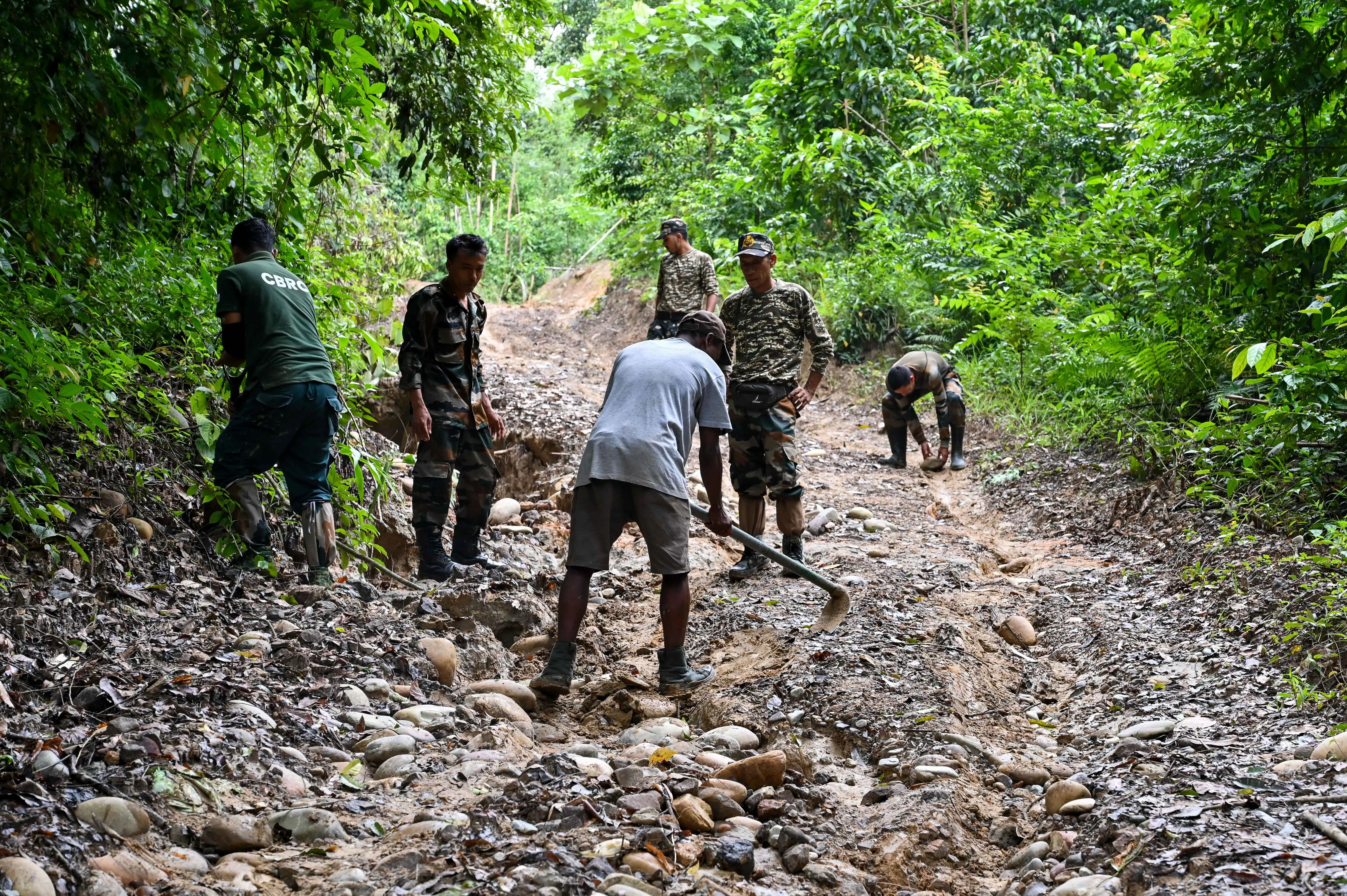 Bear rehabilitation team repairing the road