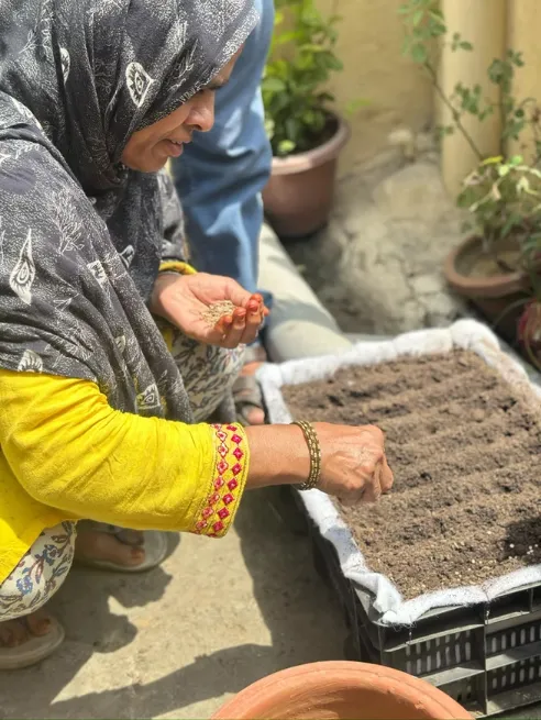 Terrace gardening initiative in New Delhi