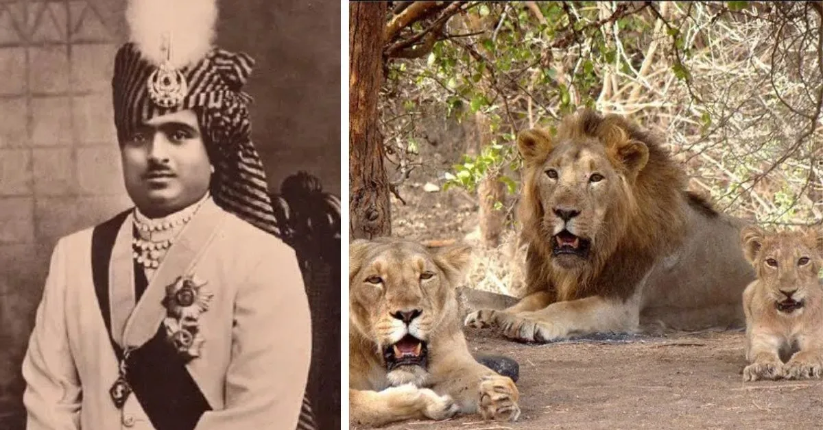 wildlife conservation