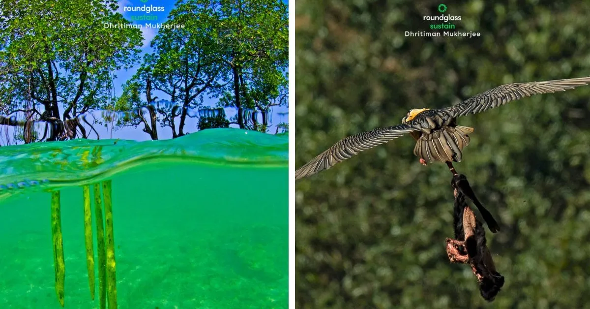 wildlife conservation