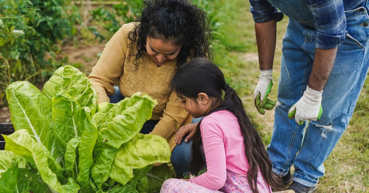 Winter indoor gardening with kids