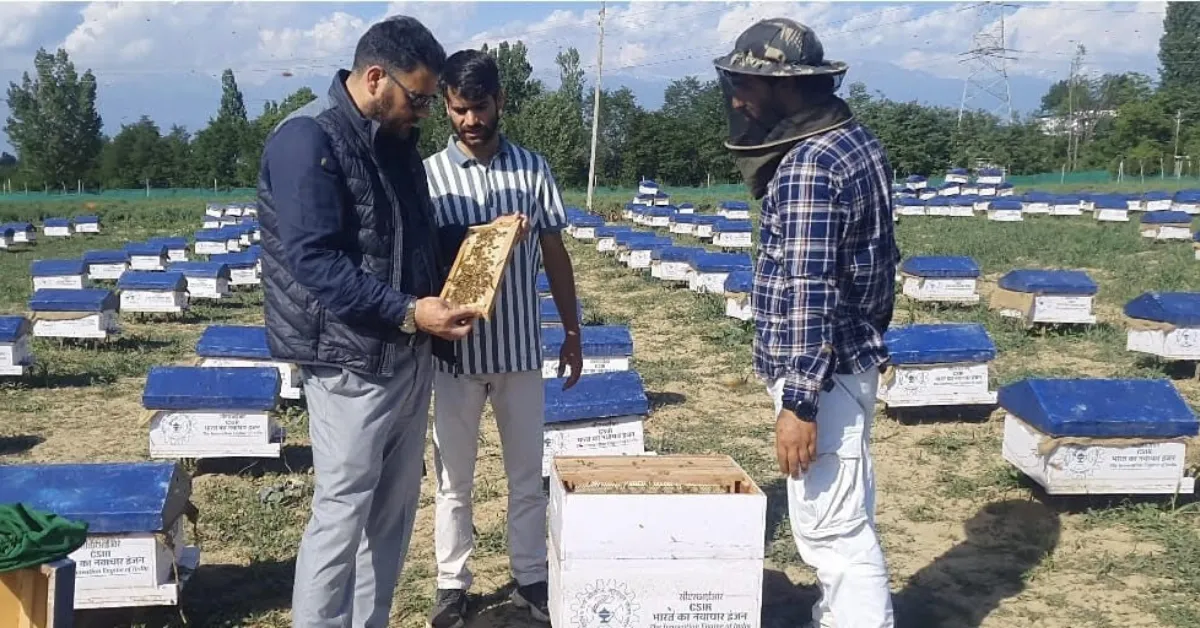 Around 180 farmers are part of the lavender initiative, with many expanding plantations each season.