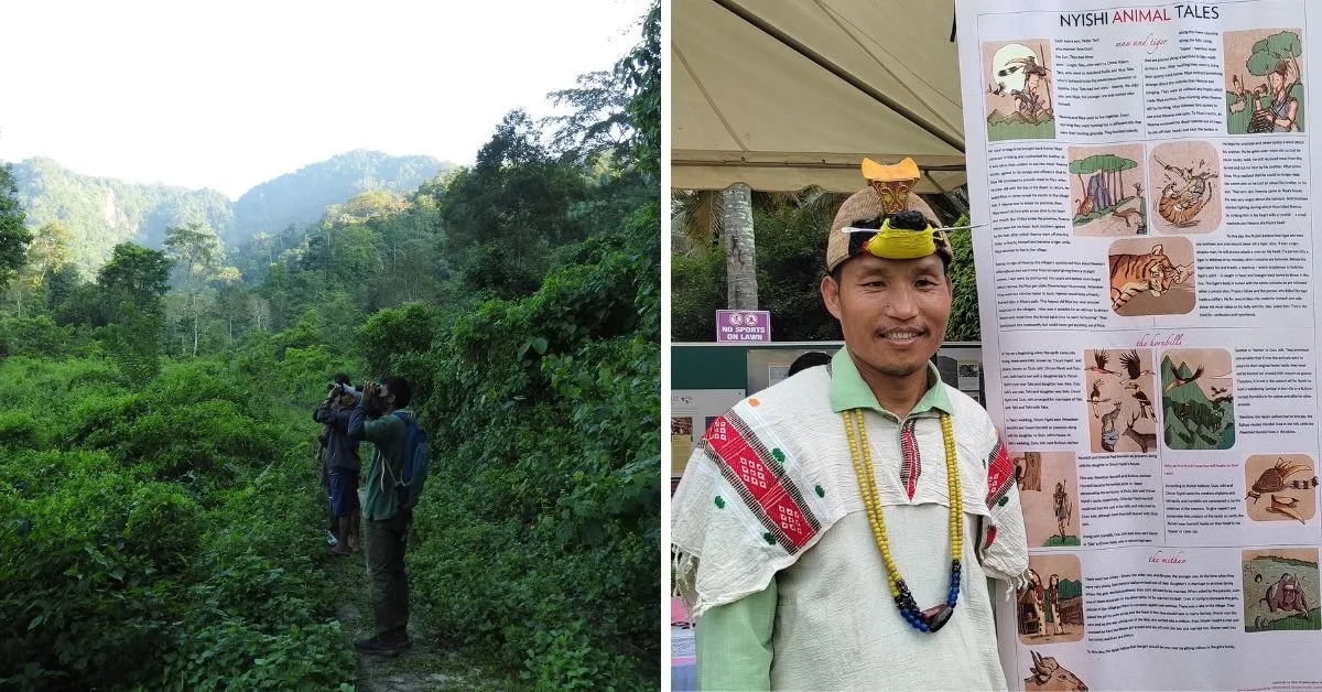 hornbill nest adoption (3)