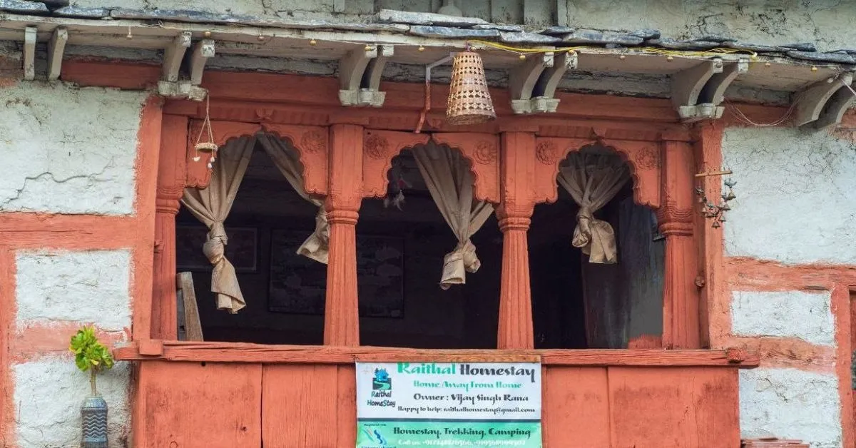 hornbill nest adoption (6)