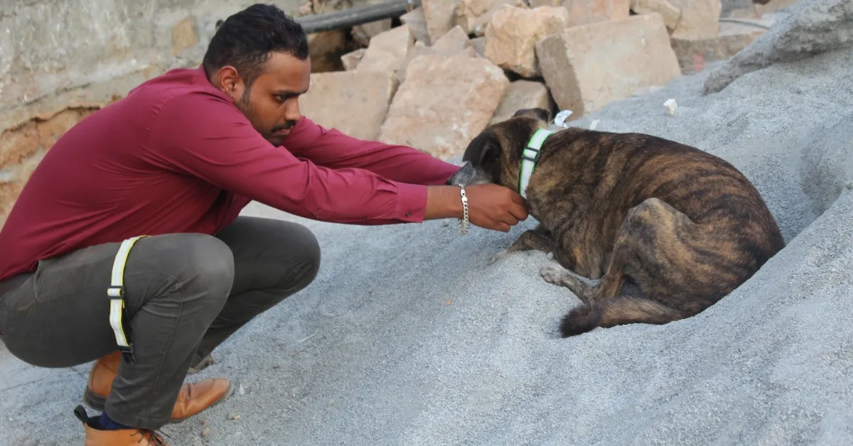 Zohar and his classmates planned a way to protect stray dogs after one near their school died in an accident.