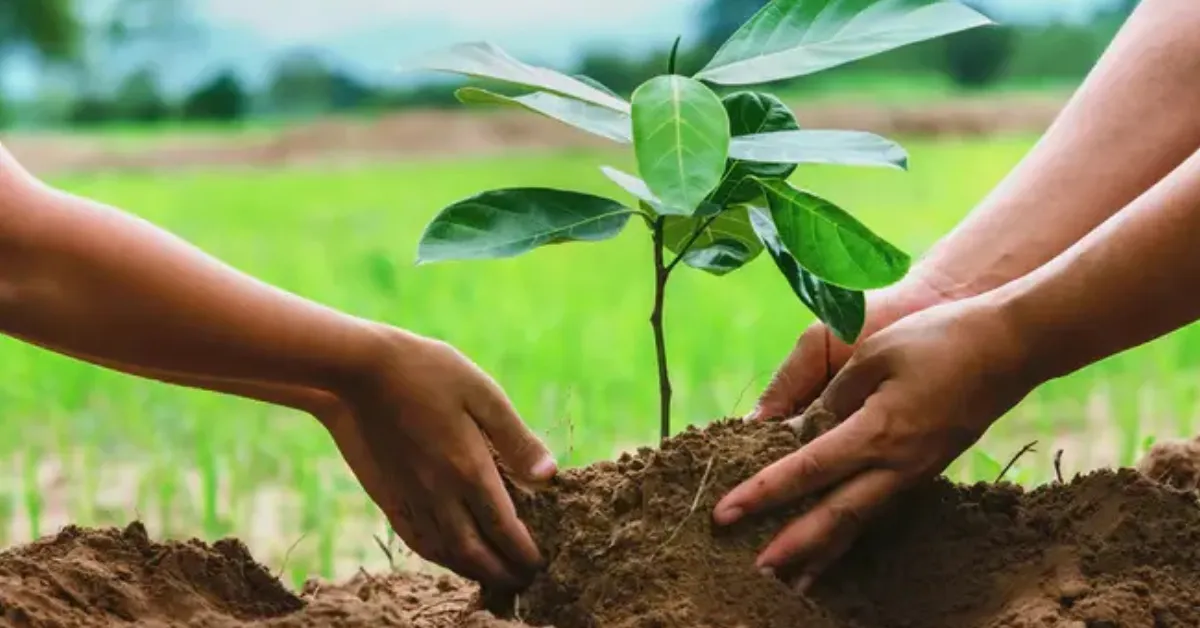 winter survival plants