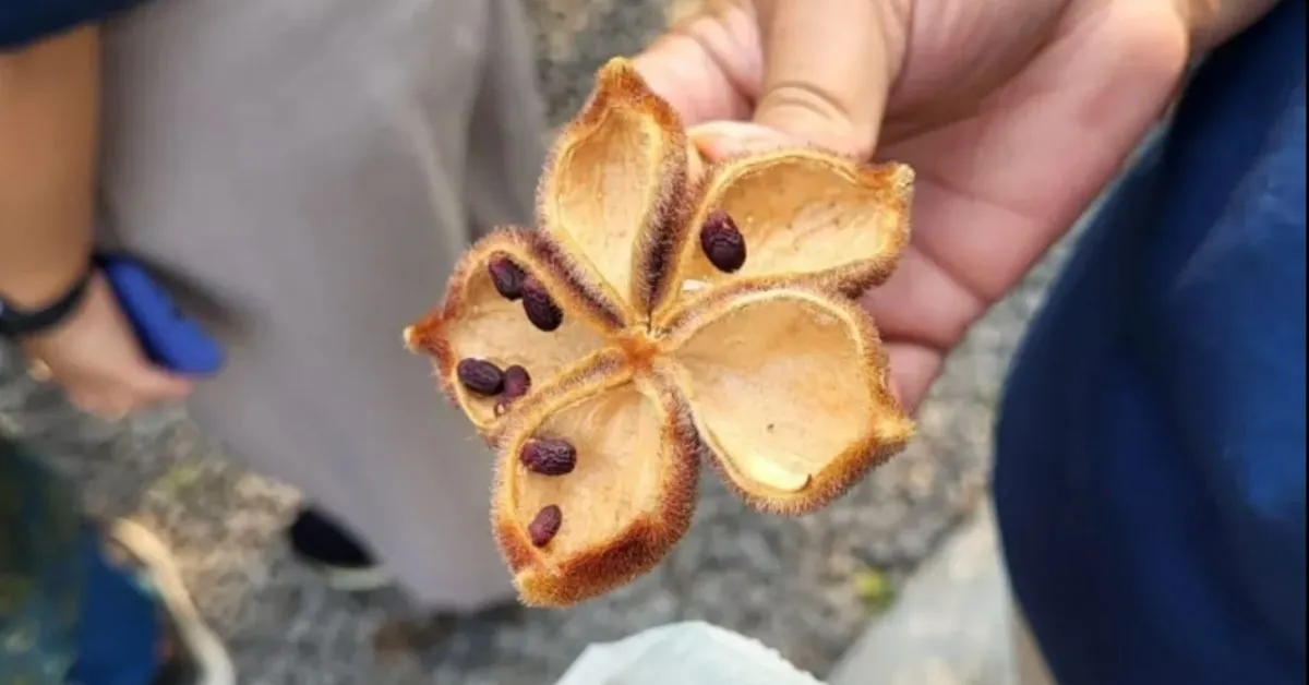 TBI FEATURED IMAGE (93)