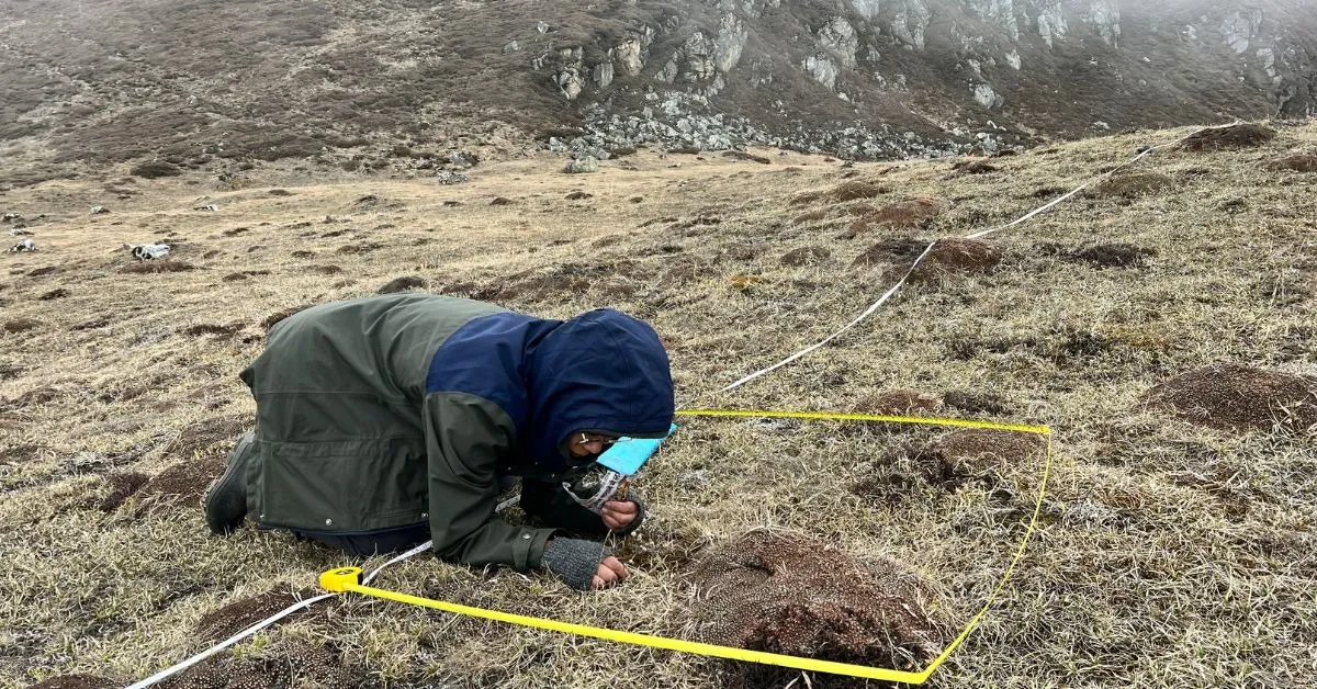 Rangeland sampling and analysis helps the volunteers understand the health of the highlands