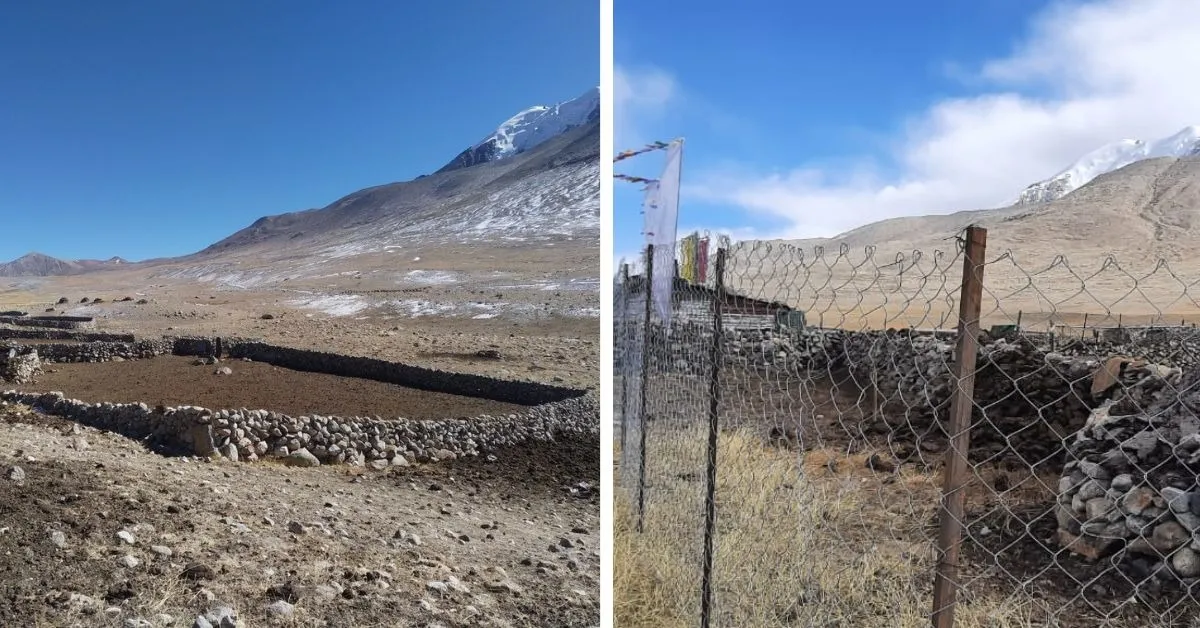 snow leopard protection