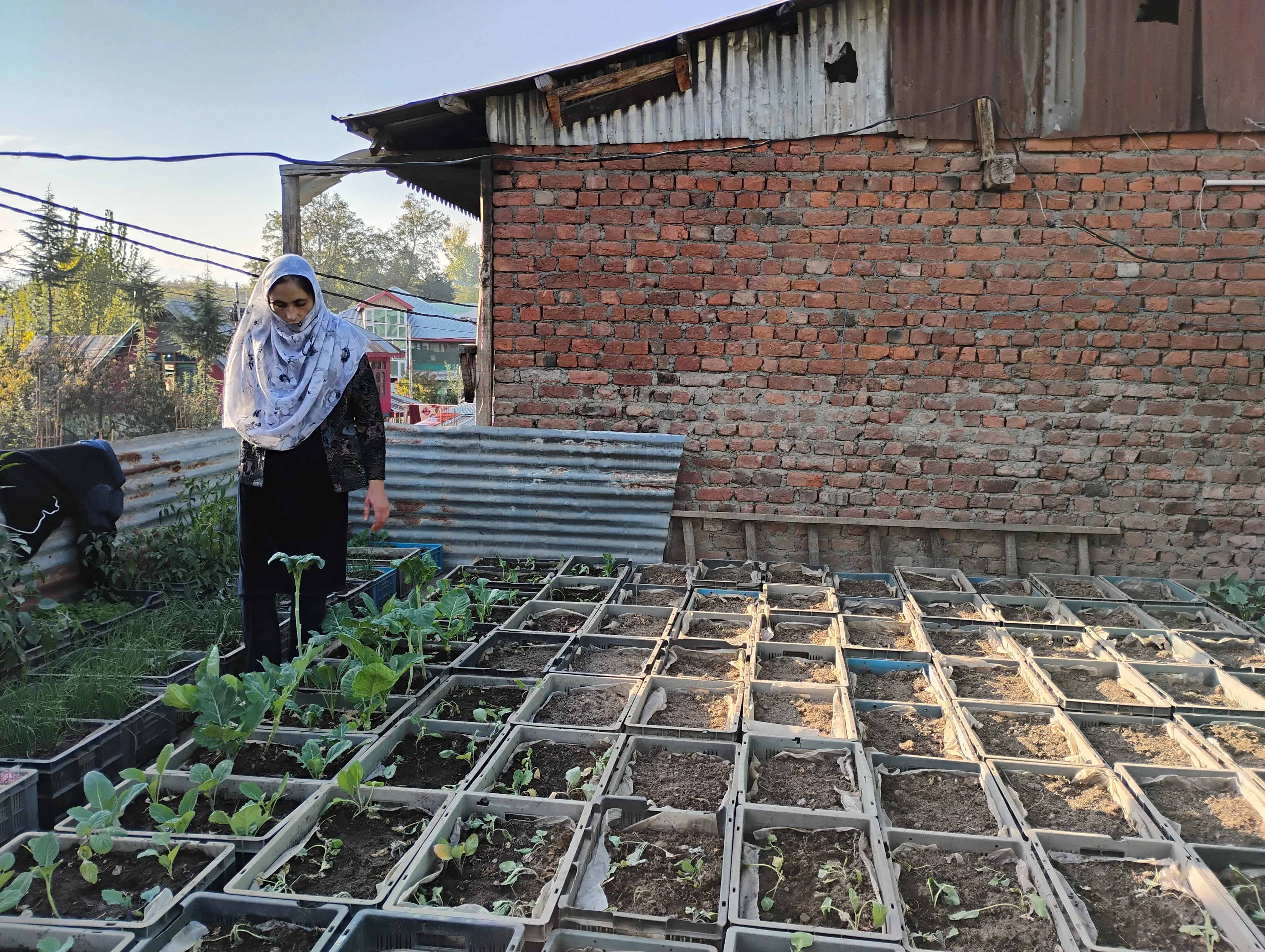 Asiya Begum on her rooftop farm