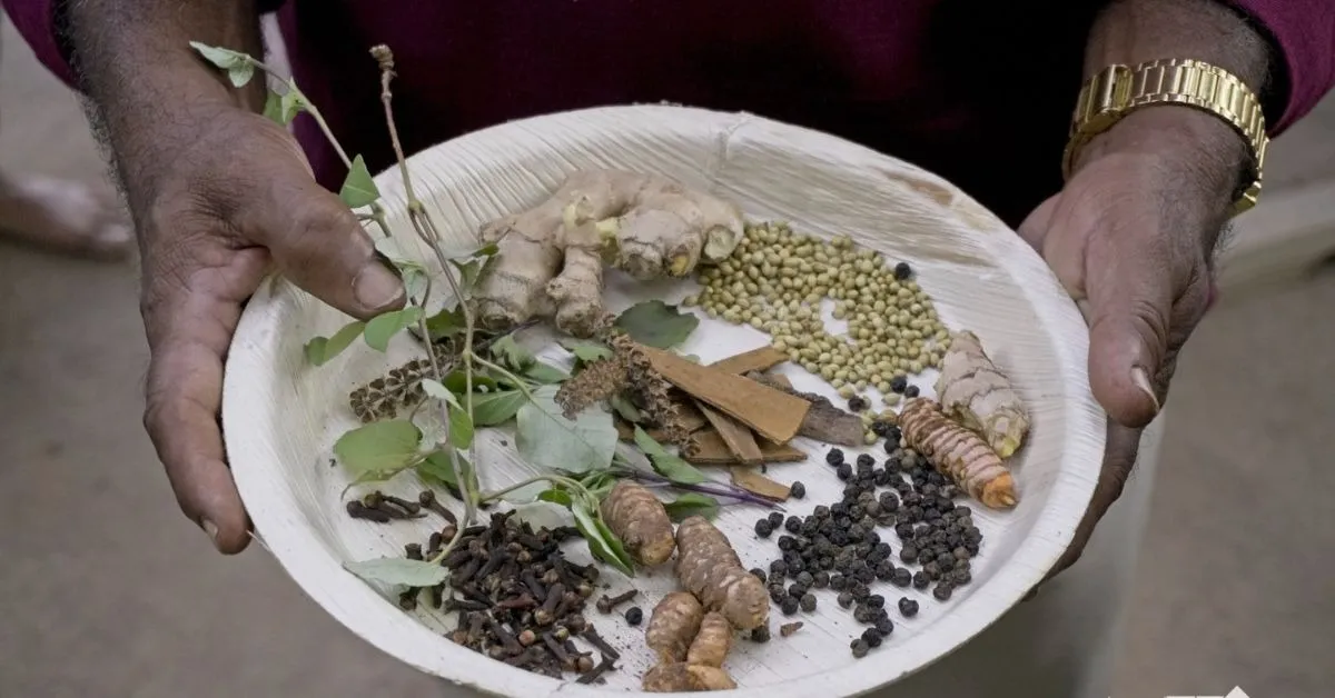 TBI FEATURED IMAGE - 2025-12-10T212521.649