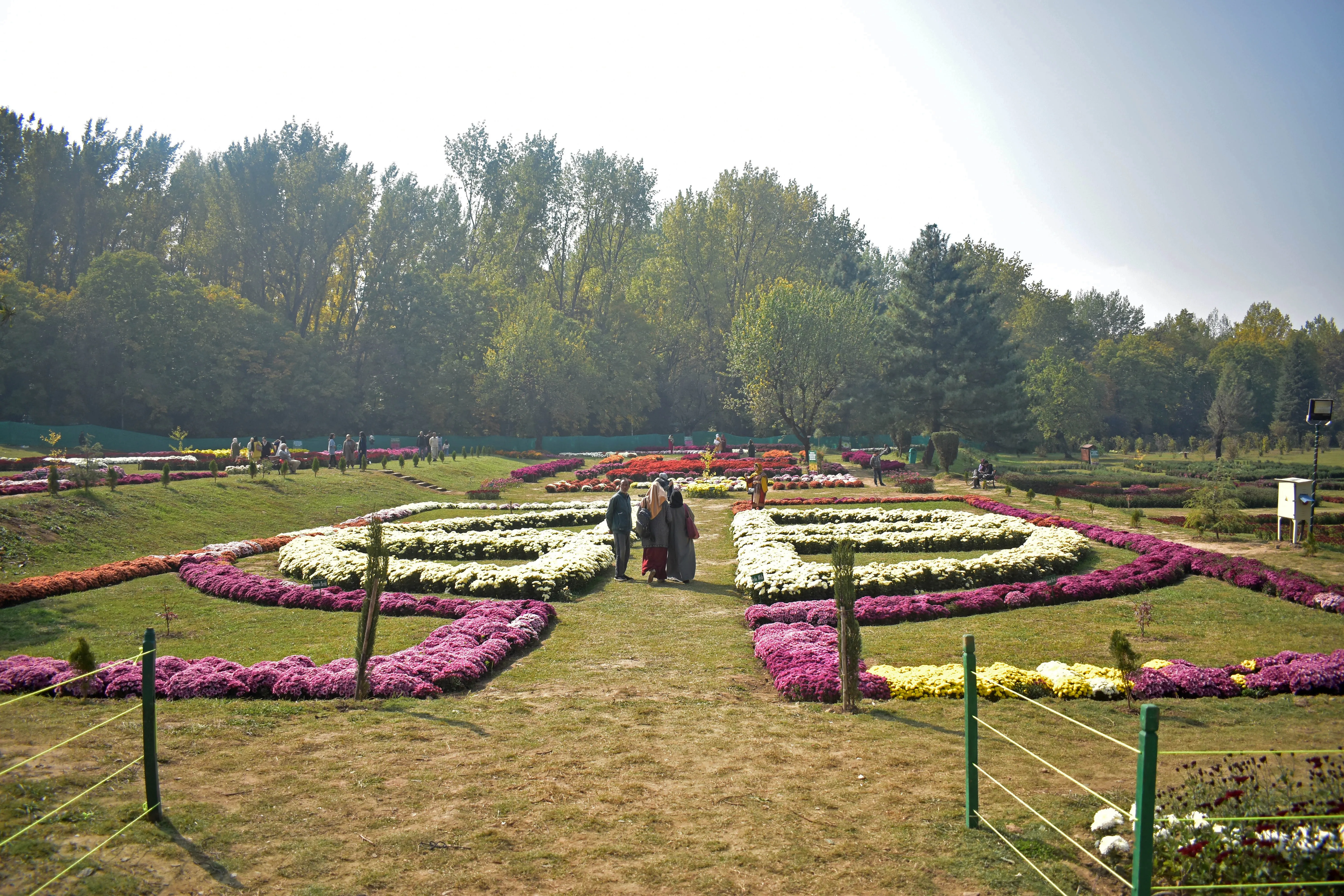 Late-autumn colours come alive as tourists explore Asia’s largest Chrysanthemum Theme Garden in Srinagar.