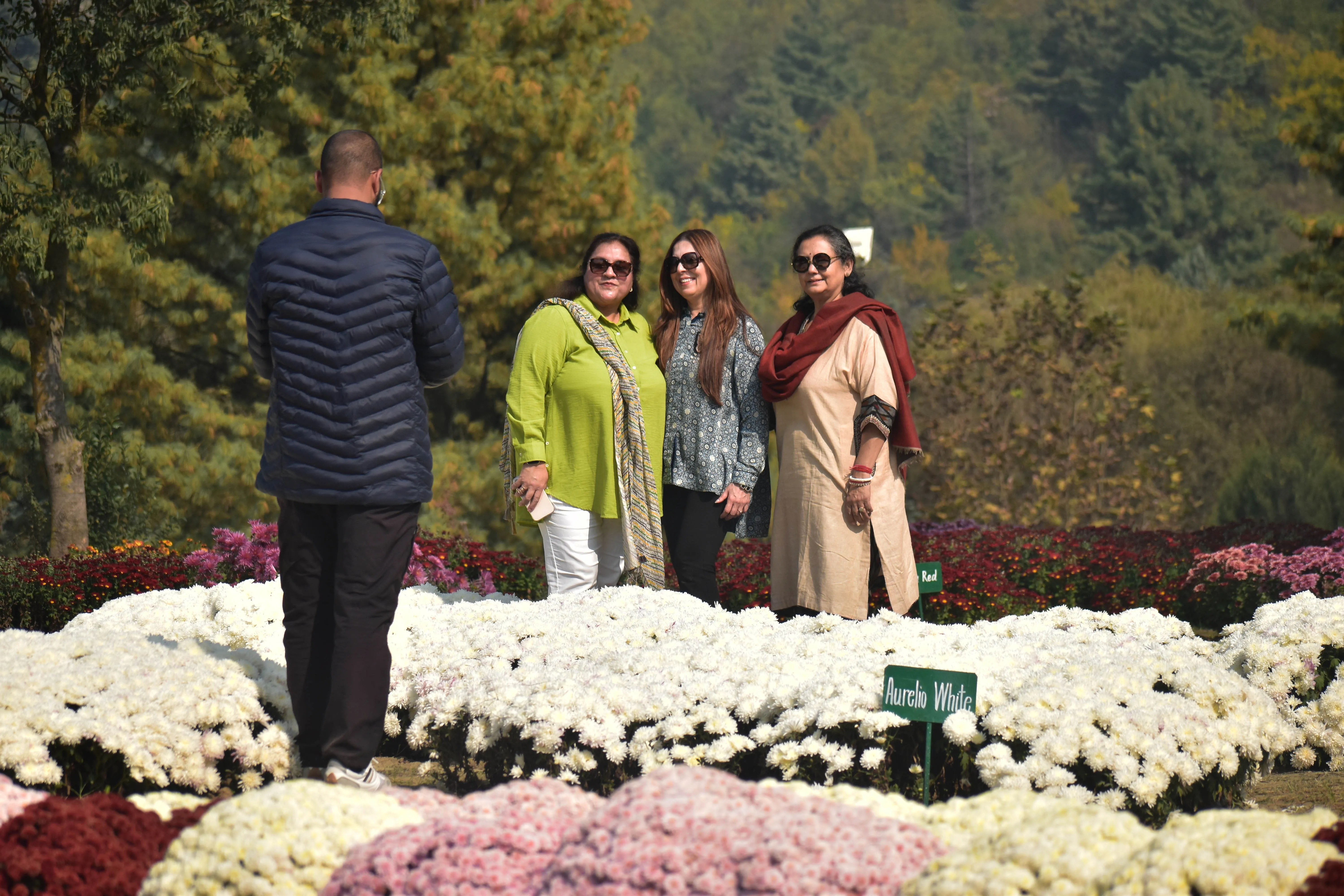 Families and photographers pause on the terraces of Bagh-e-Gul-e-Dawood, surrounded by 30 lakh blooms.