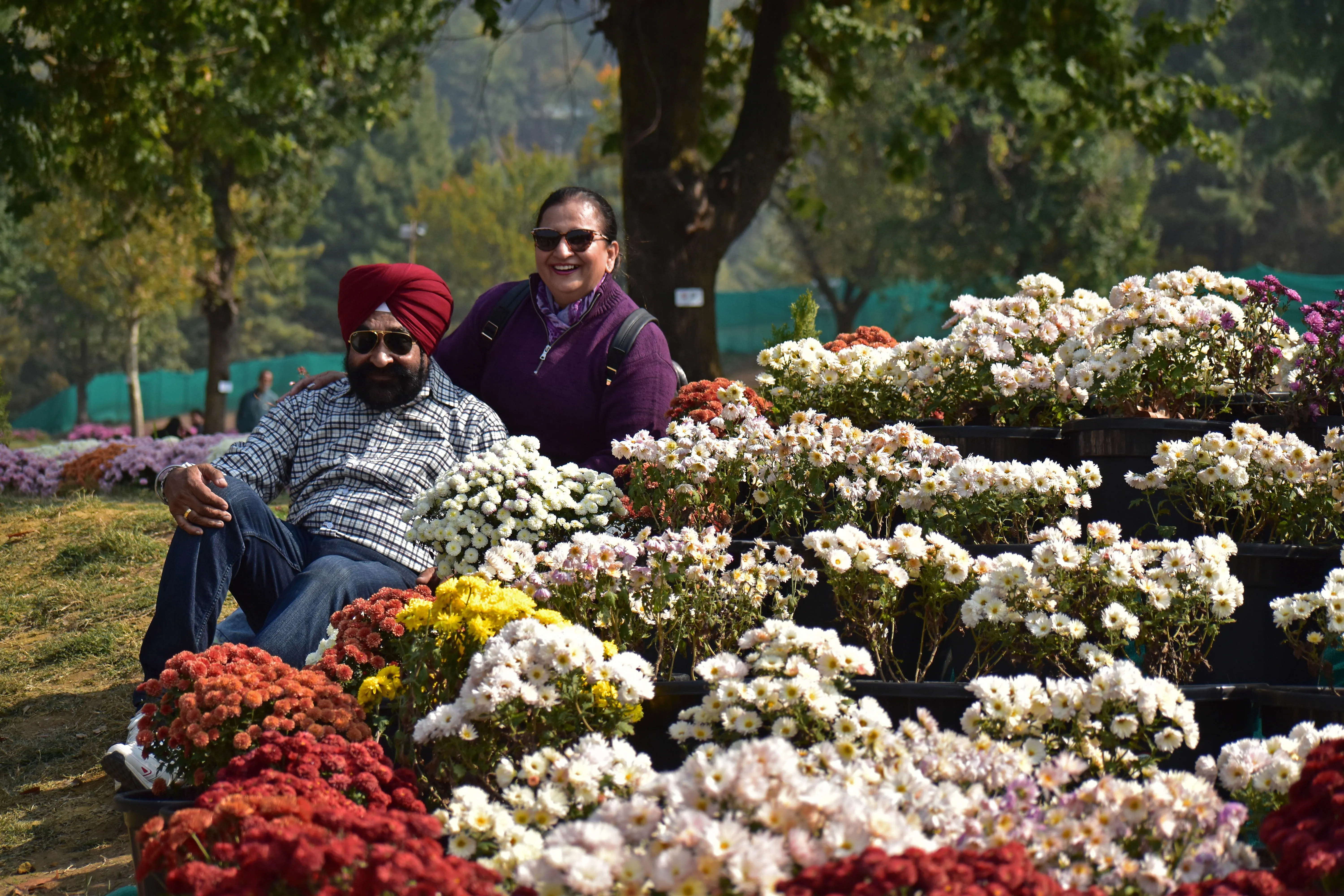 A couple pauses to capture memories amid the vibrant chrysanthemum beds at Bagh-e-Gul-e-Dawood in Srinagar.
