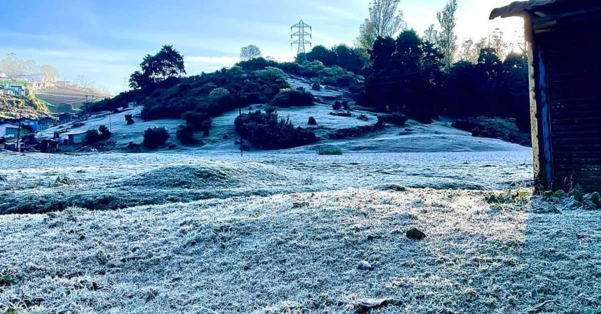 Nishtha featured image template (5)