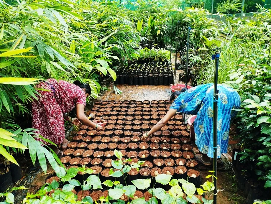 restoring Western Ghats native species