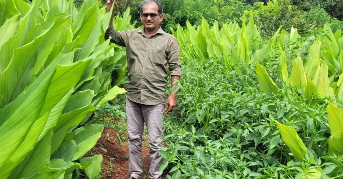 India farming stories 2025