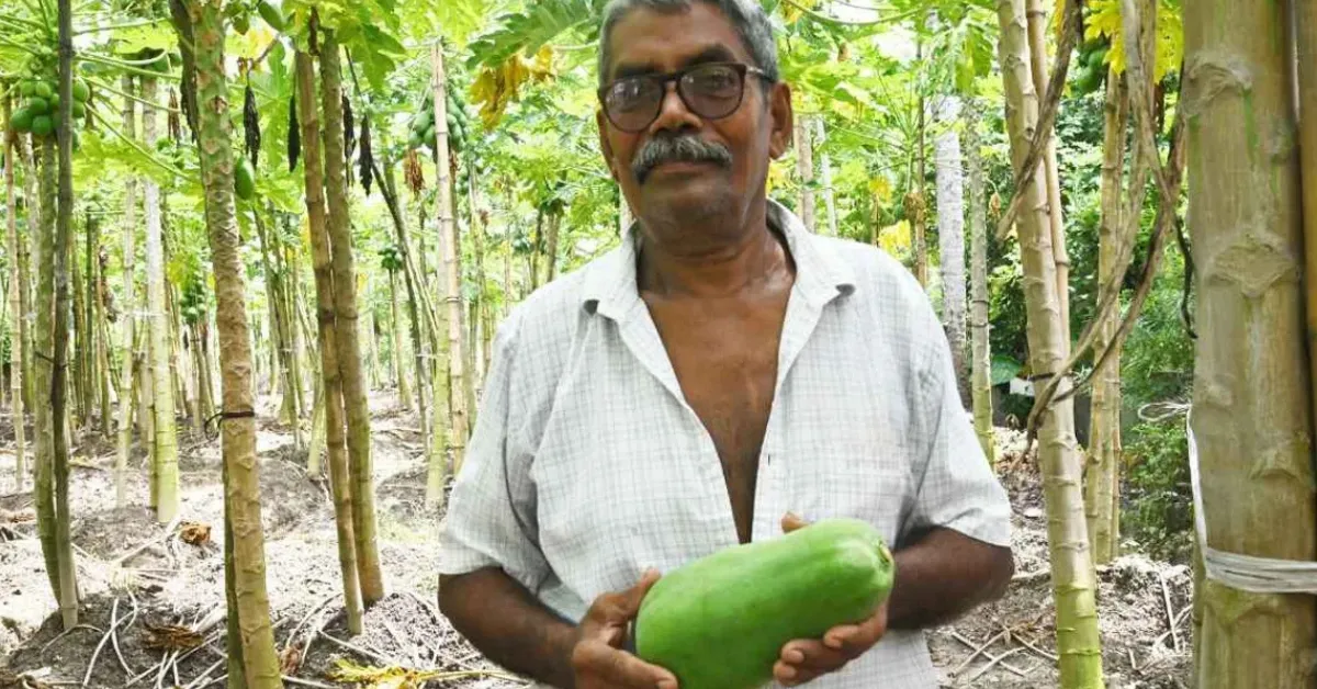 India farming stories 2025