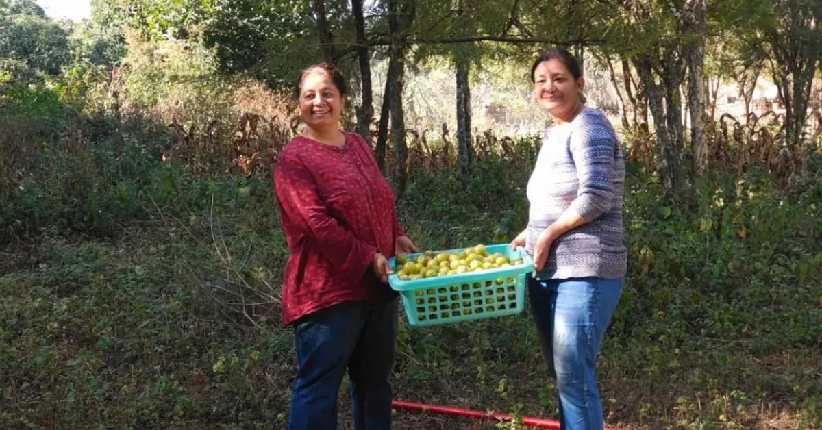 India farming stories 2025