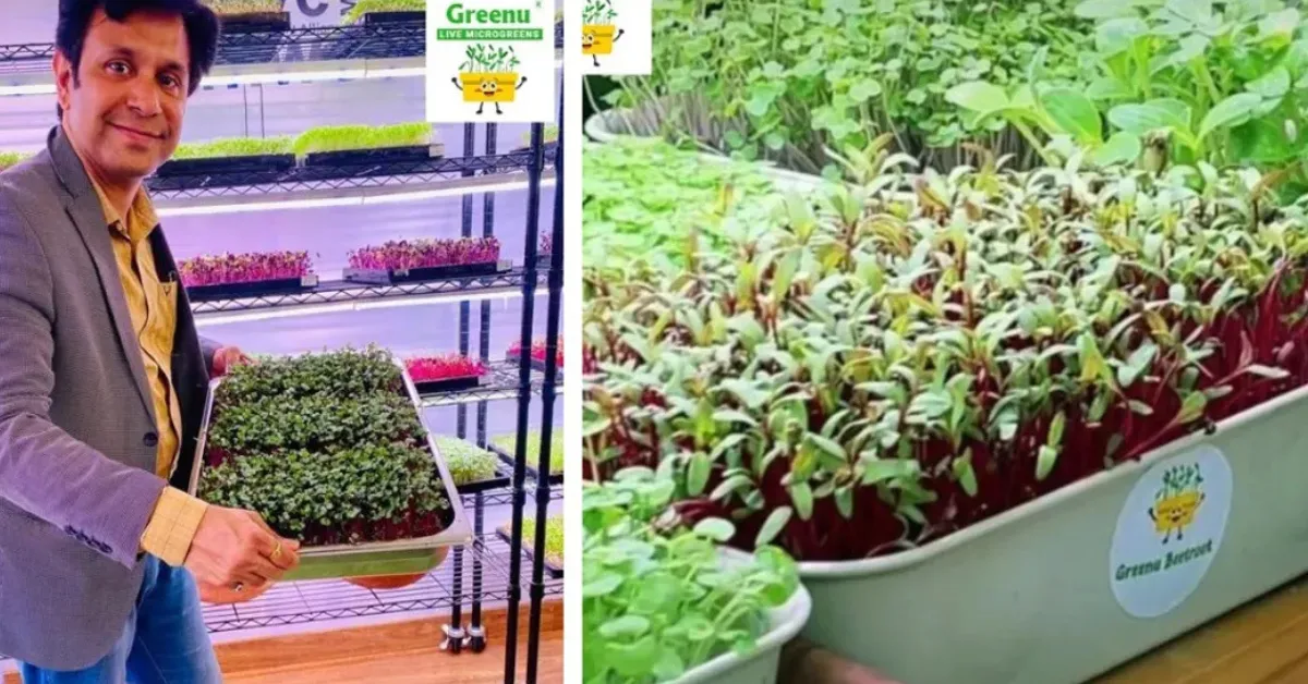 India farming stories 2025