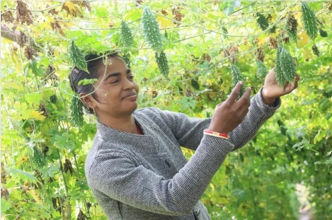 WhatsApp Image 2025-12-22 at 17.36.26