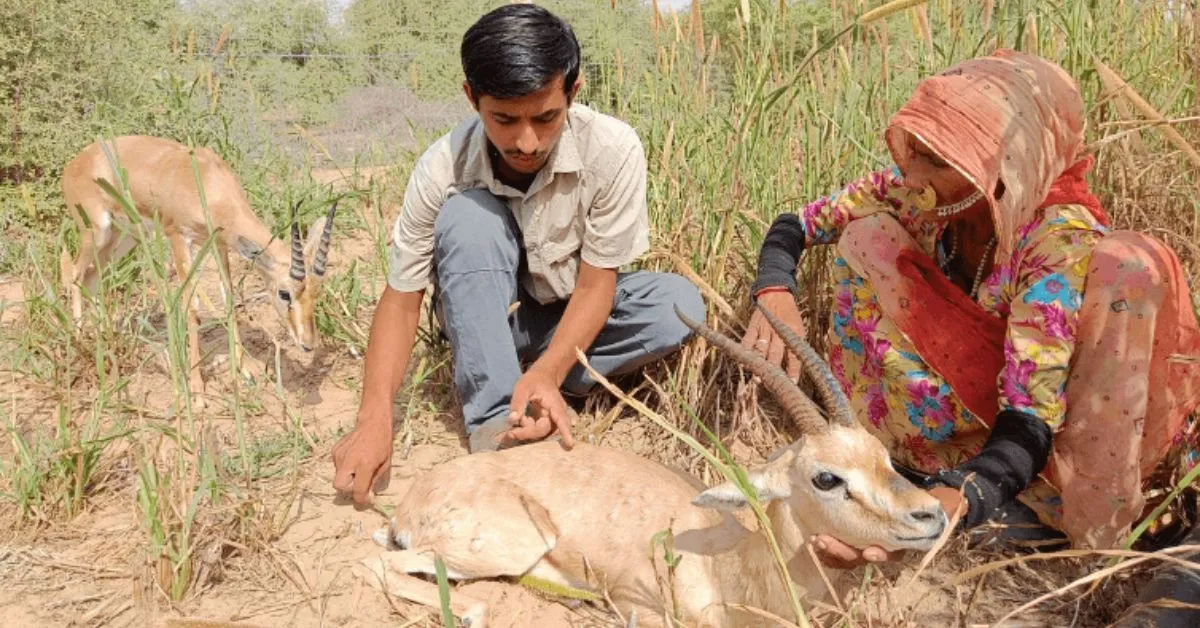 wildlife conservation (2)