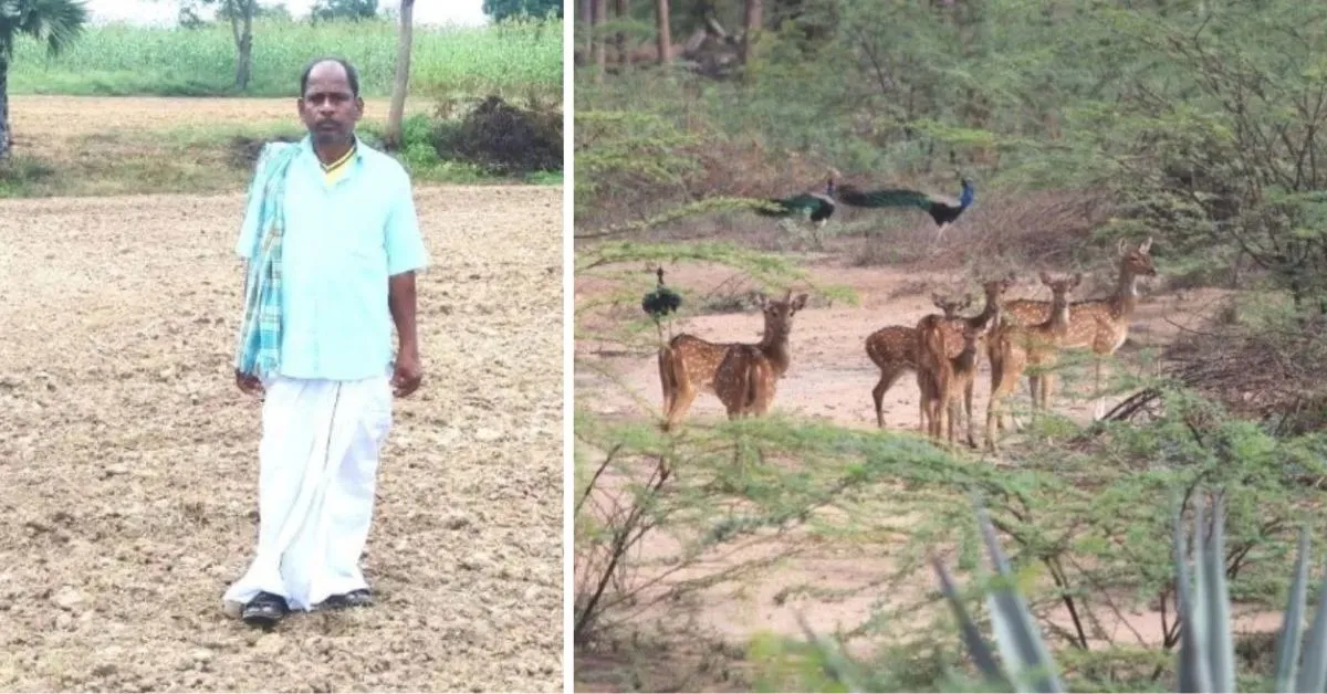 wildlife conservation