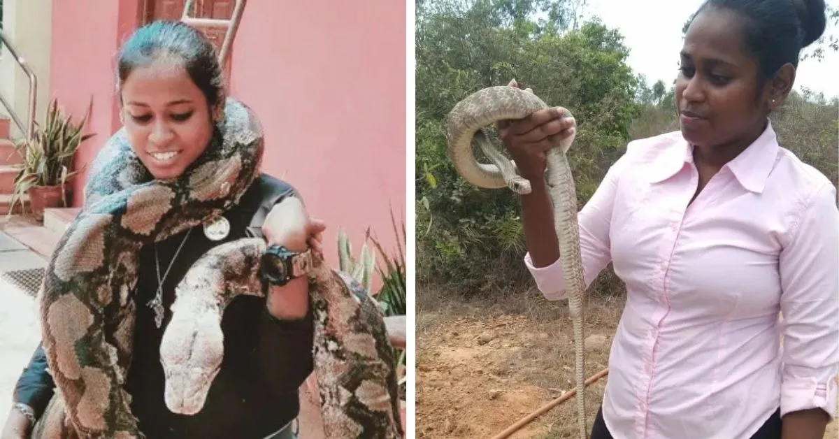 wildlife conservation (3)