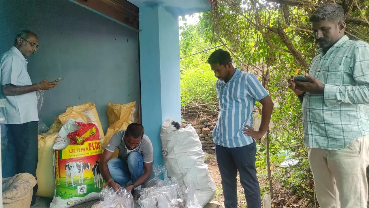 WhatsApp Image 2025-12-24 at 19.53.36